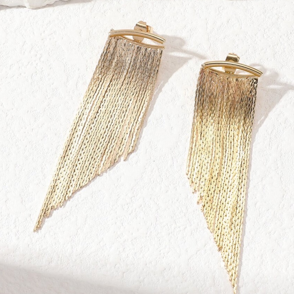 Minimalist Fringe Long Earrings - Picture 8 of 10